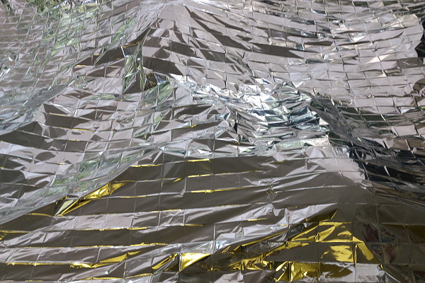 Biomorphic Breath #1